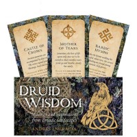 Druid Wisdom Inspiration kortos